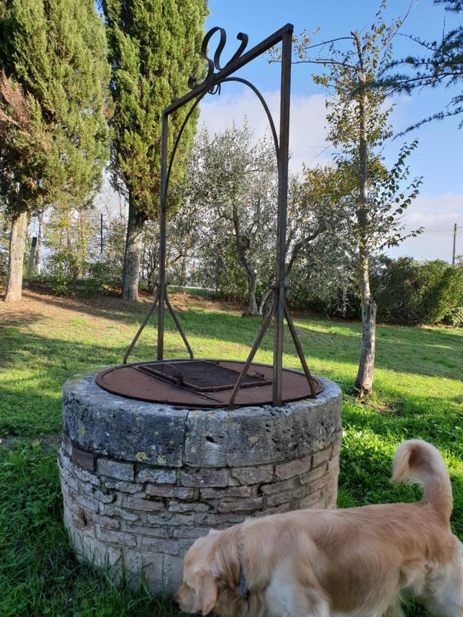 Podere Il Poggio Asciano Exterior foto